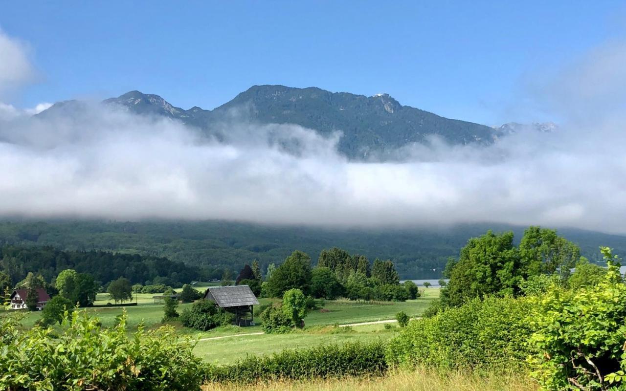 Apartments Vila Jelka Bohinj Dış mekan fotoğraf