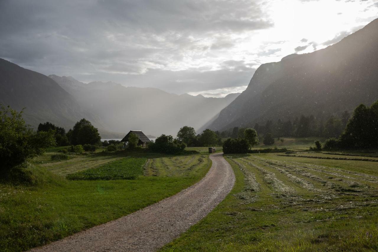 Apartments Vila Jelka Bohinj Dış mekan fotoğraf