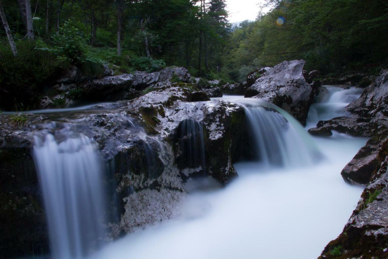 Apartments Vila Jelka Bohinj Dış mekan fotoğraf